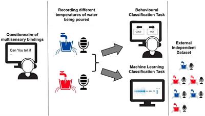 Hearing temperatures: employing machine learning for elucidating the cross-modal perception of thermal properties through audition